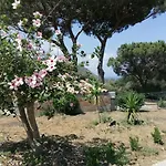 Country House Figurella
