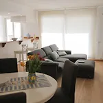 The Sunny House
