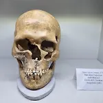 il Buco