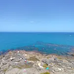 Scinniamare