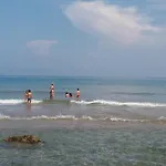 Gelsonia