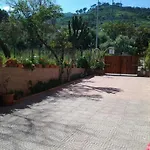 Gelsonia