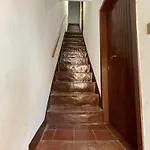 Saraceni 20