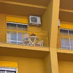 Yellow House