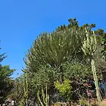 Belvedere Santa Lucia