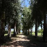Verdemare