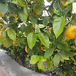 Lumachella B&B