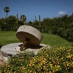 Il Dono Di Atena