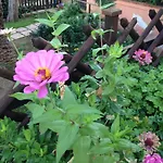 B&B Villa Di Giorgi