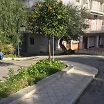 Thessa Home