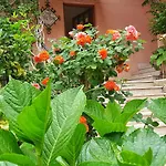 Delle Rose