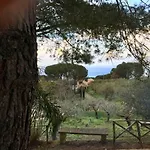 Villa Del Bergamotto