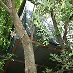 La Casa Sull\'Albero