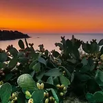Ogliastro Sul Mare - Sleep And Dream