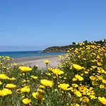 Tra Verde E Mare