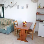 Diana Studio