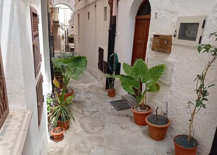 Cortile Maggiore Home