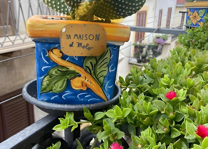 Ta Maison Al Molo