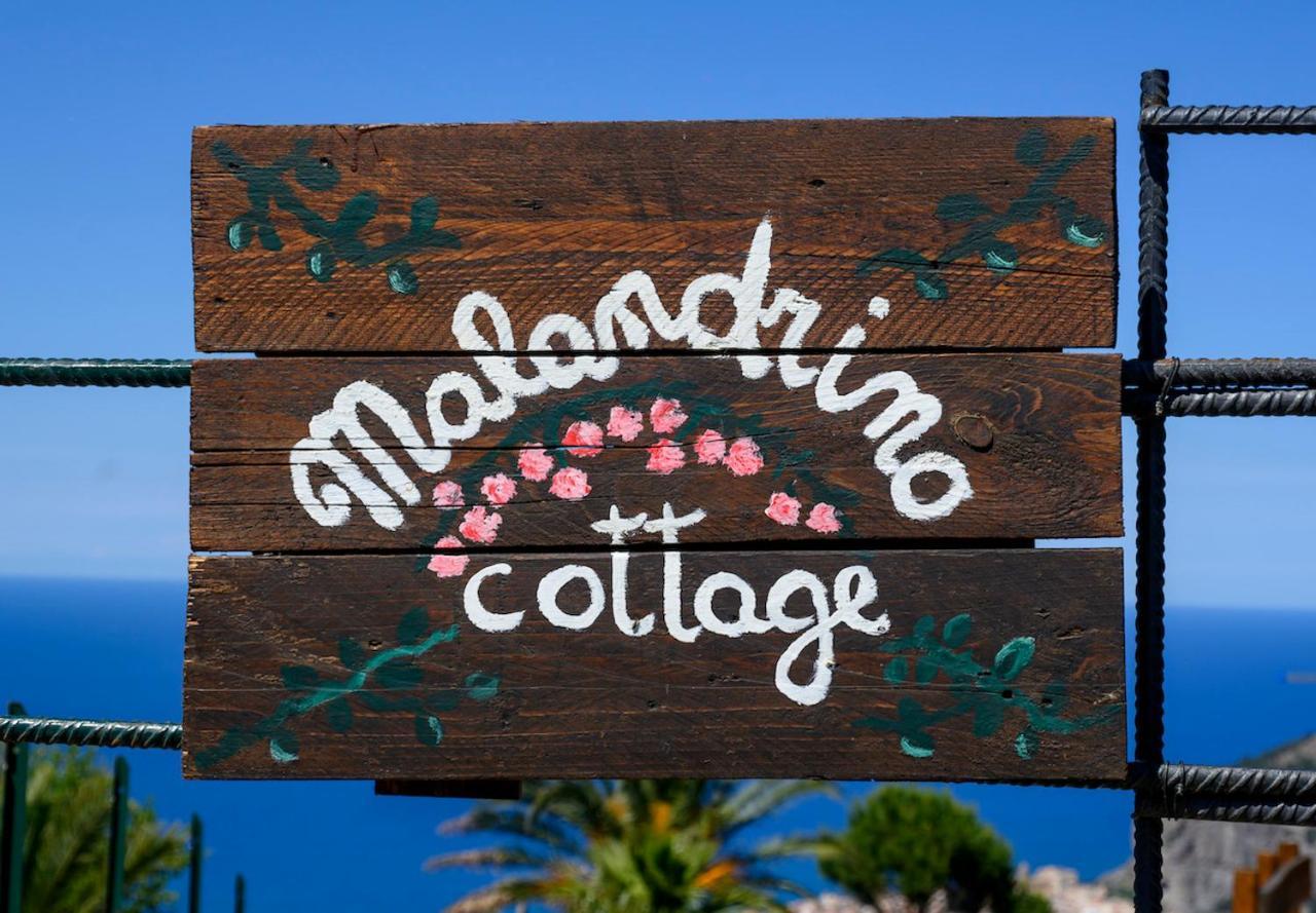 Malandrino Cefalù