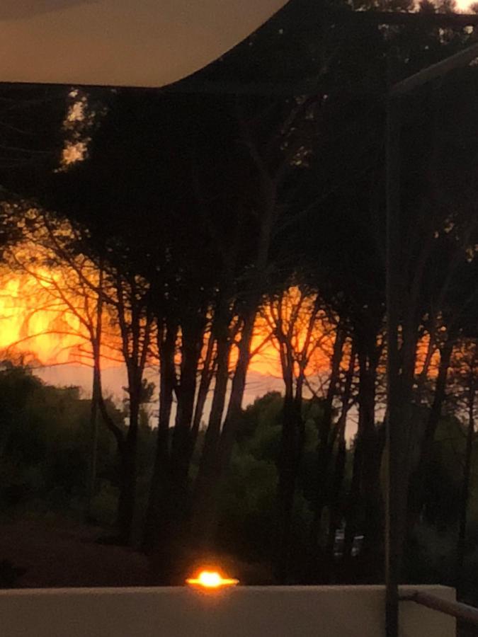 Ilenia Seaview Apartamento Cefalù