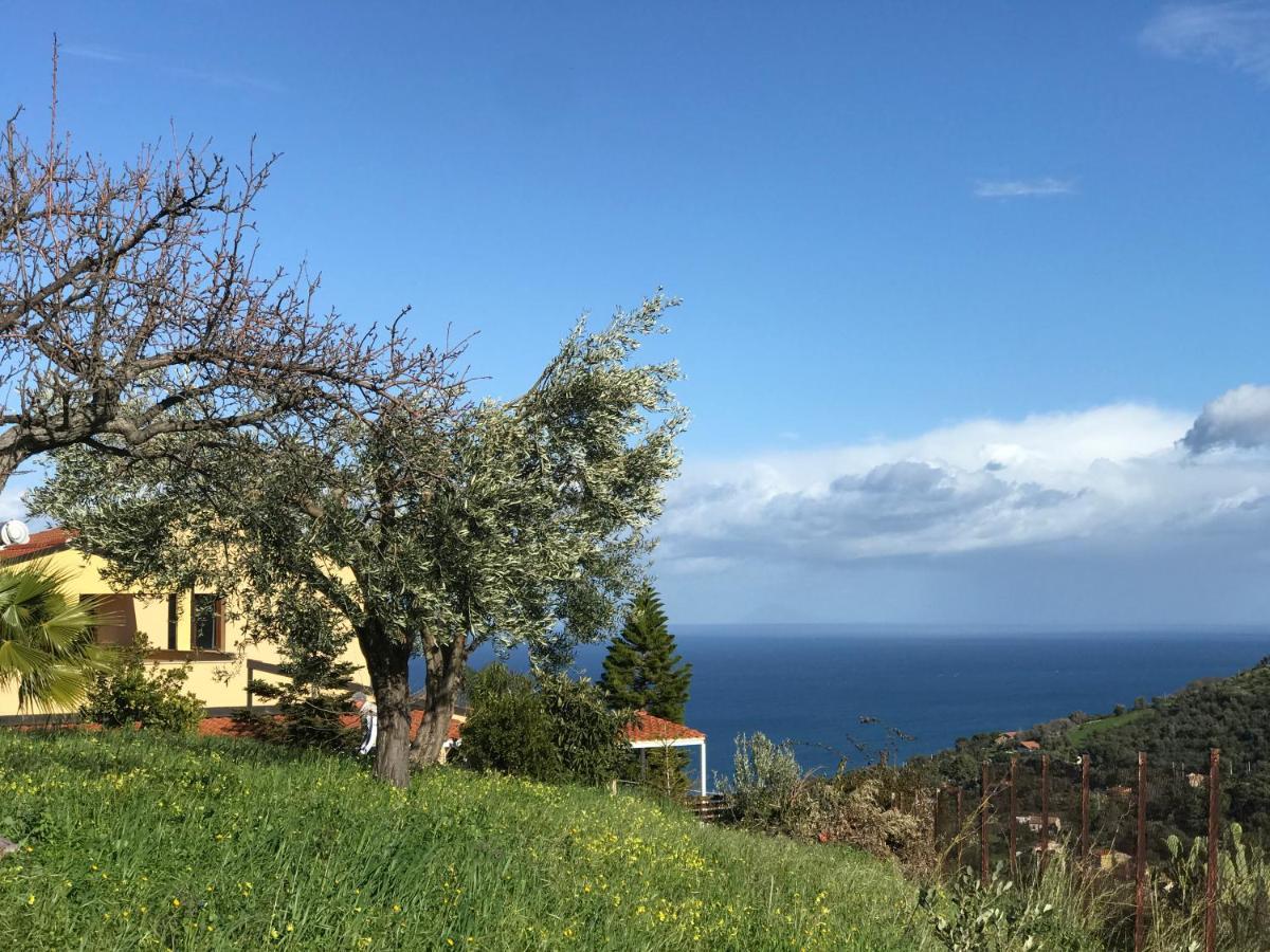 Casa Delle Palme Apartment