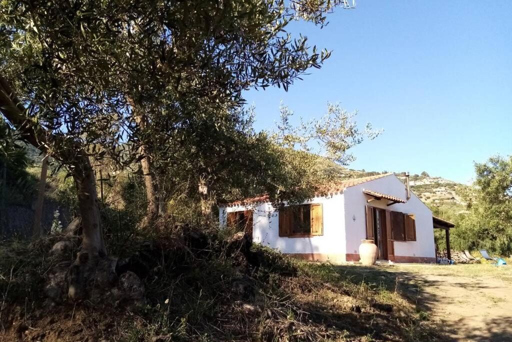 Cosy Casa Di Ettore