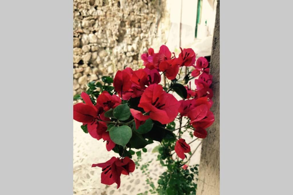 Lovely Appartamento Cefalù