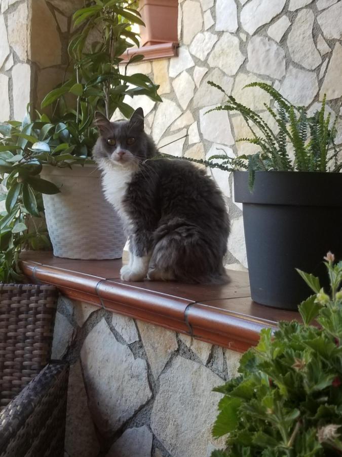Holiday home Vintage House Cefalu