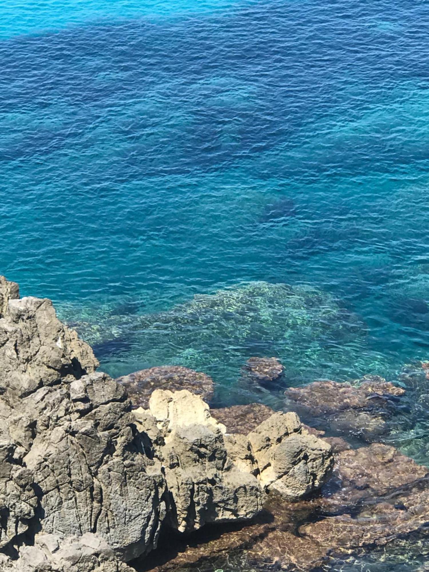 La Casetta Sul Mare Di Apartment *
