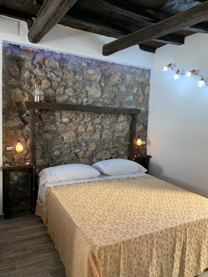 Conte's House Apartment