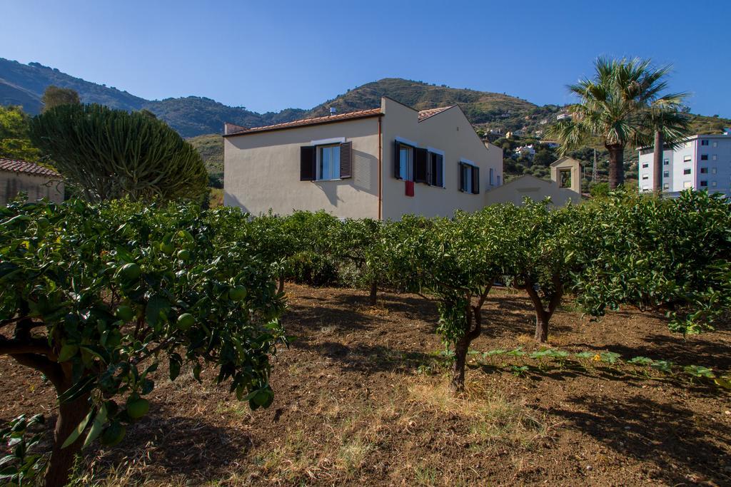 Bouganville Cefalu