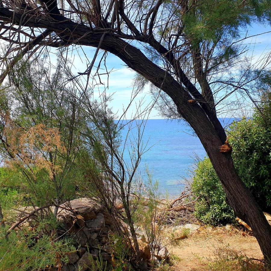 Santina - * Cefalù