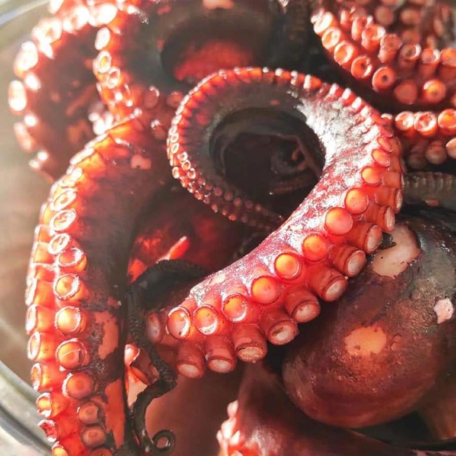 Gelsonia Cefalù