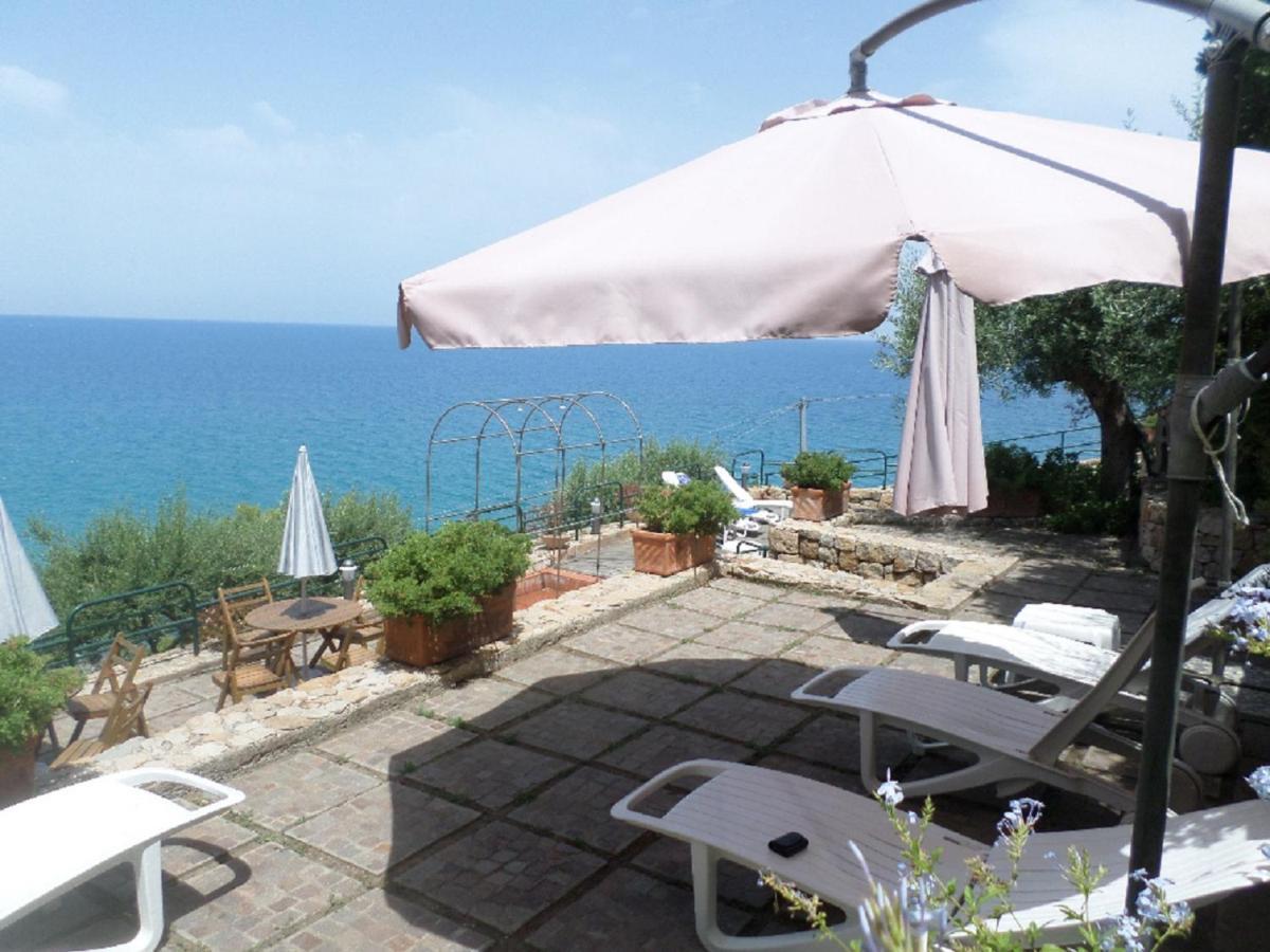 Ch Exclusive * Cefalu