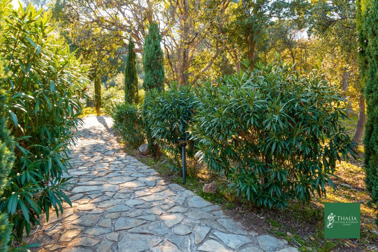Thalia - & Garden - Holiday home *