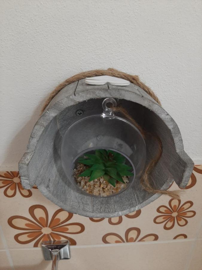 Il Veliero