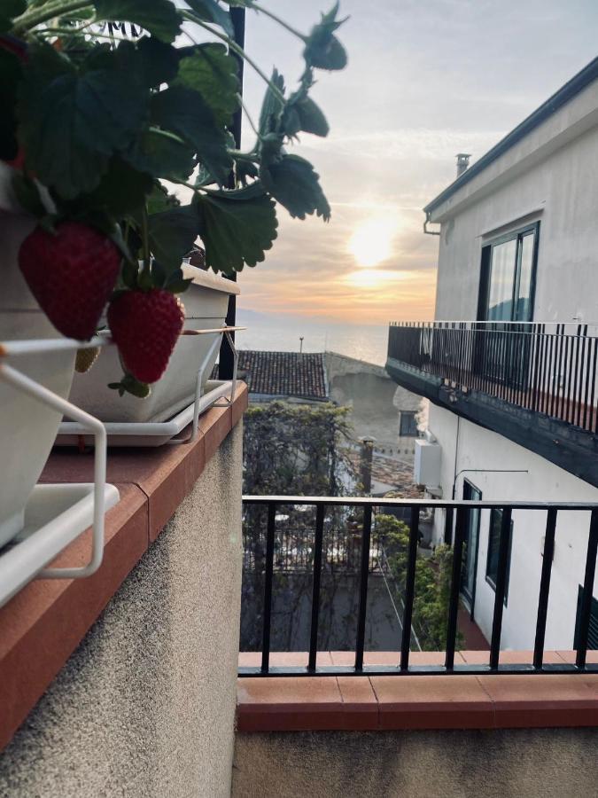 Il Pino E La Rosa * Cefalu