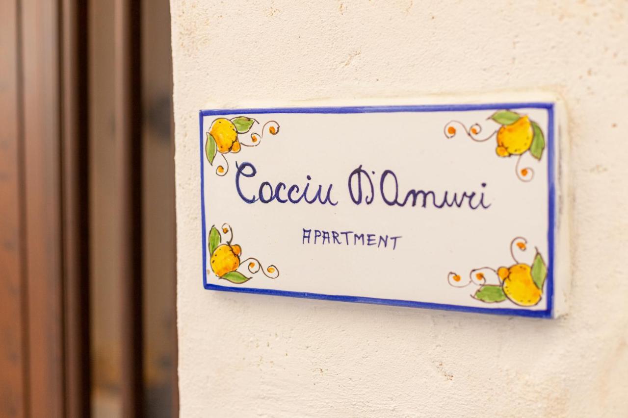 Apartment Cocciu D'amuri *