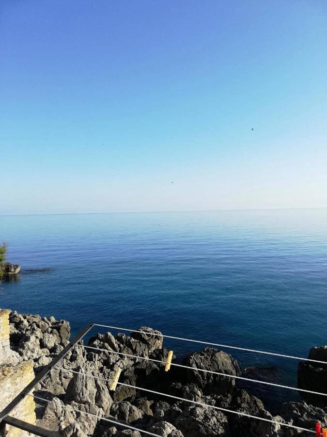 Da Sogno A Bordo Mare *