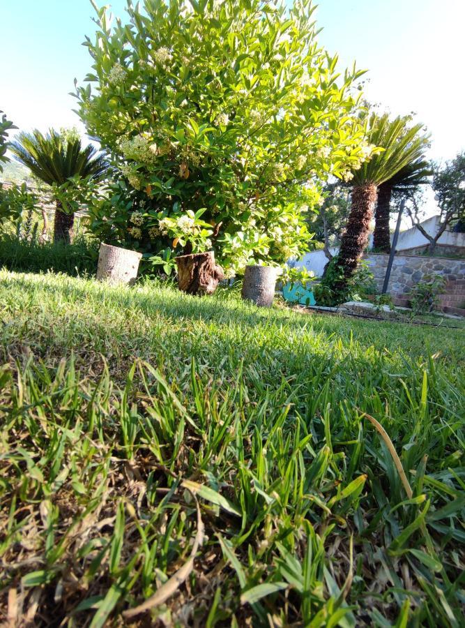 Martino Apartamento *