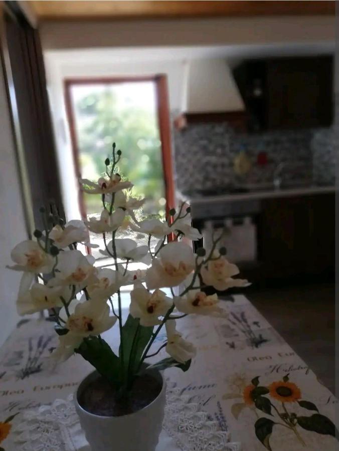 La Gallizza Apartment