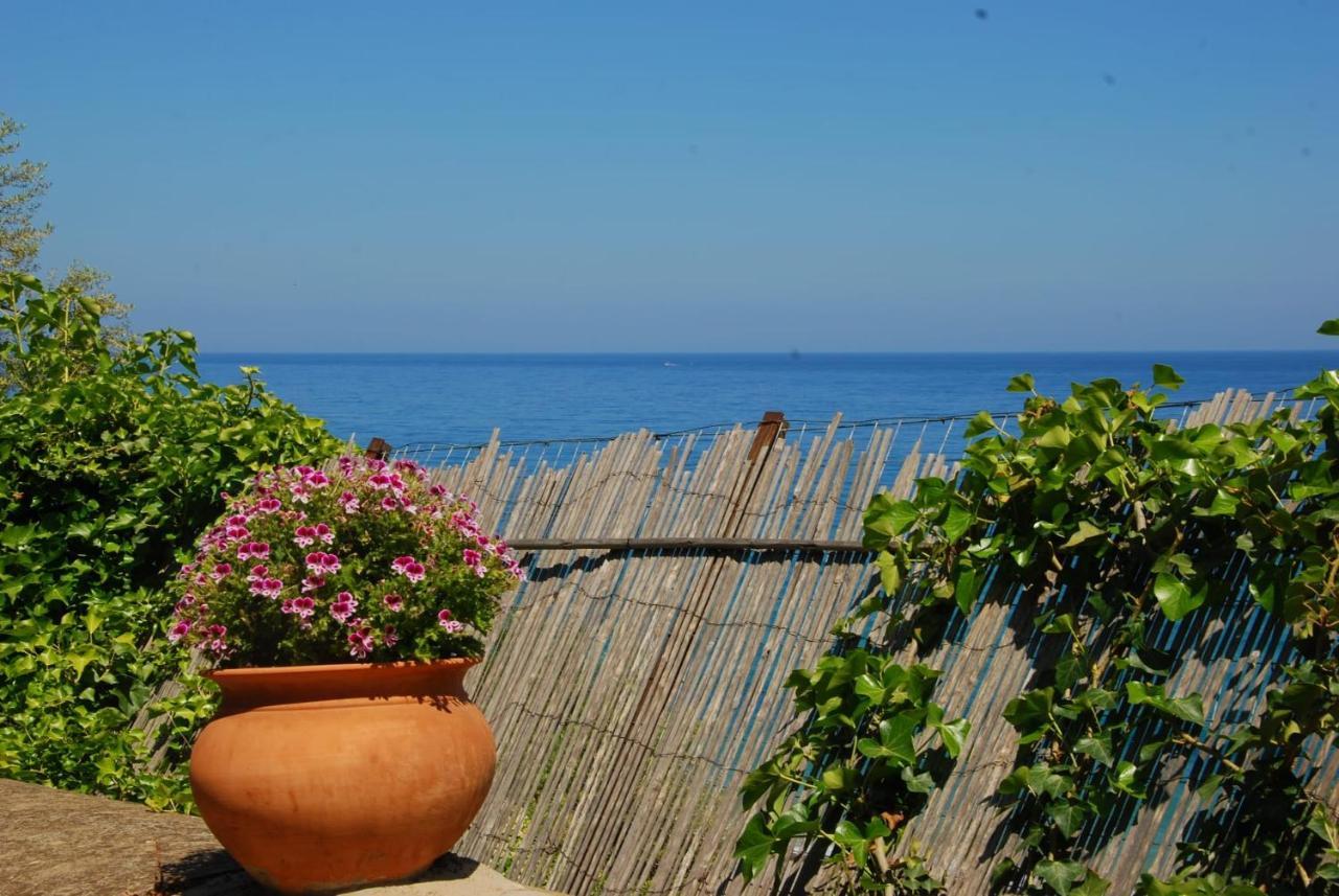 Ferienhaus Four Seasons Summer *