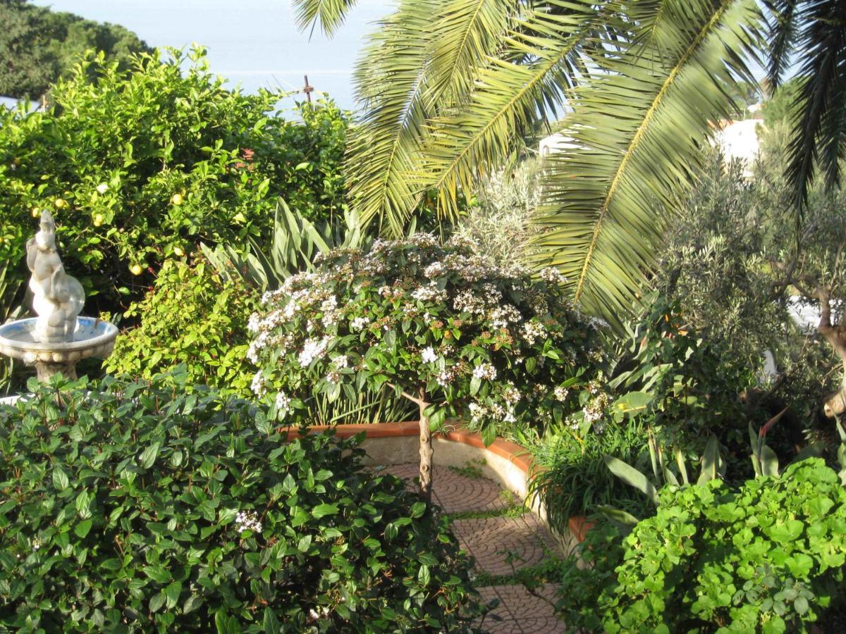 Stanza In Con Giardino Vista Mare