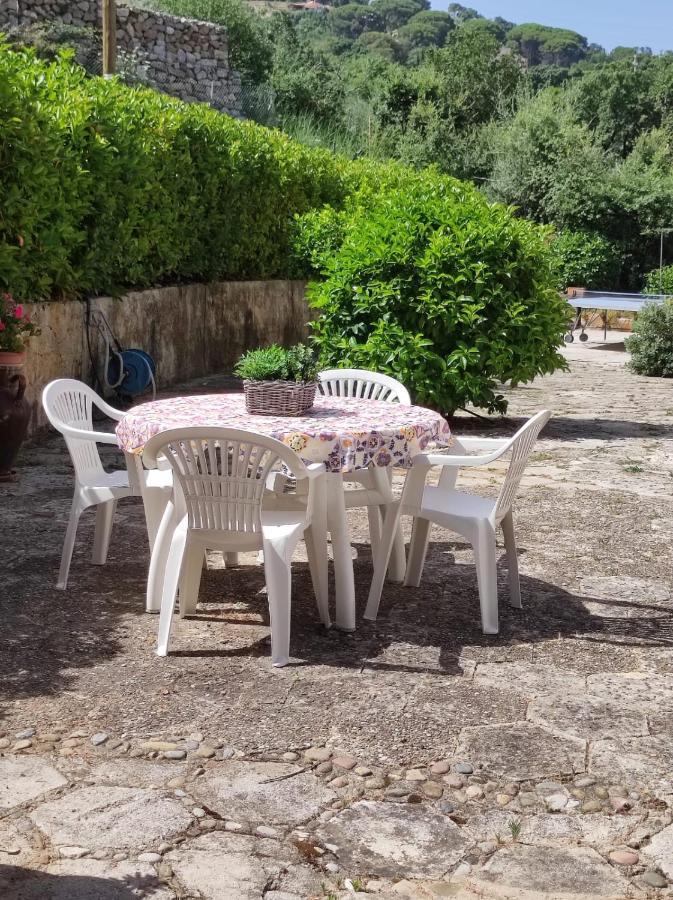 Bouganvilla Cefalu