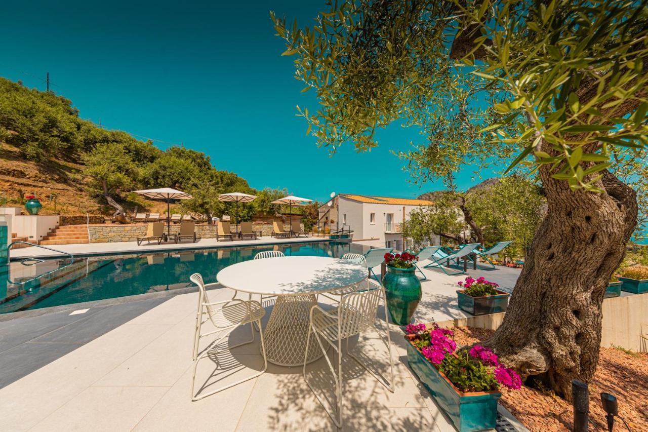 Toto Hotel 3*