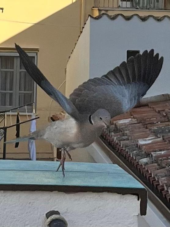 180° View Apartment Cefalu