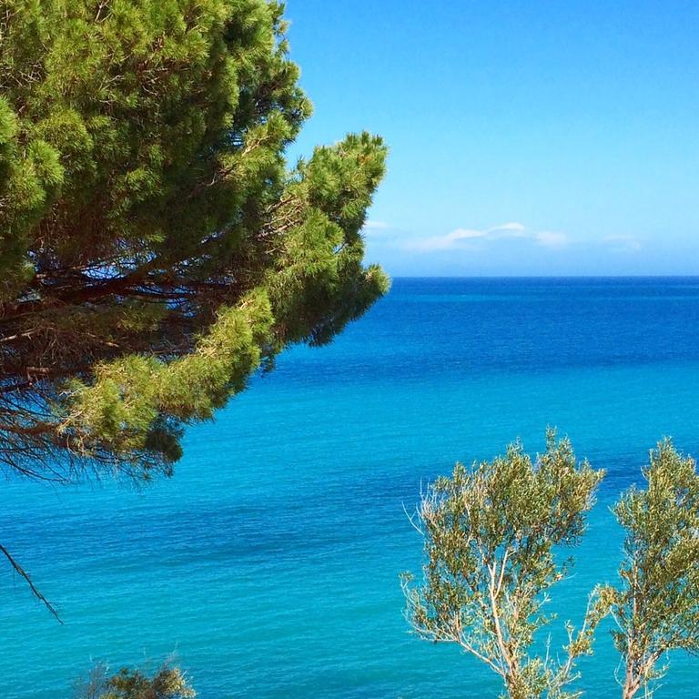 Andrea's Villa *