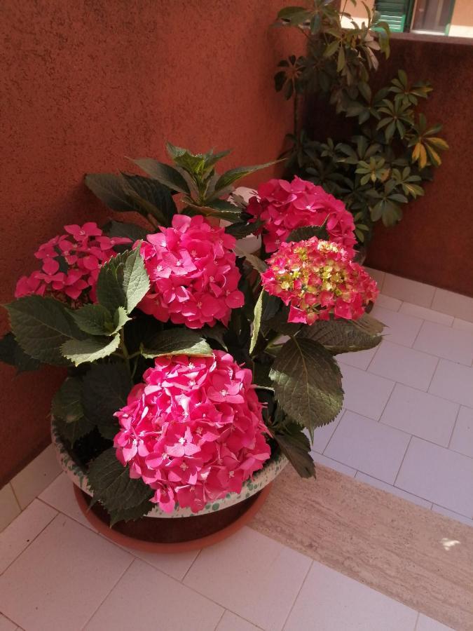Paradiso Marino Holiday home