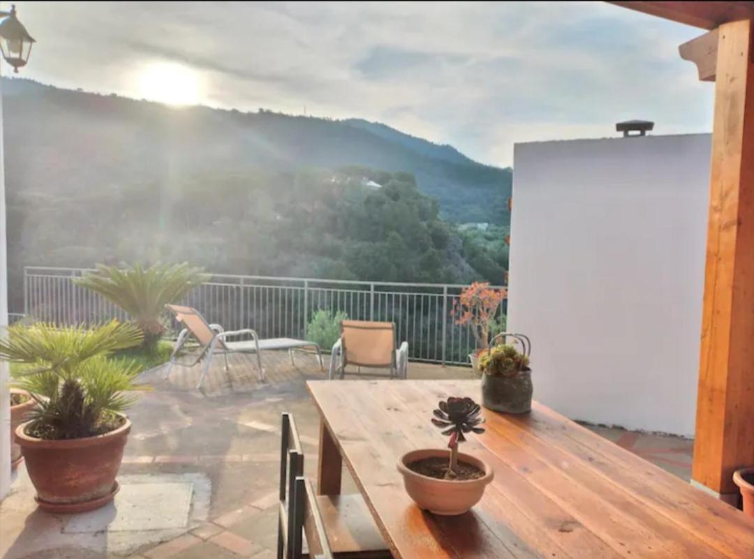 Camilla * Cefalu