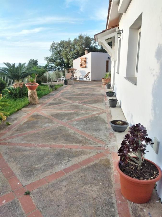 Camilla Holiday home